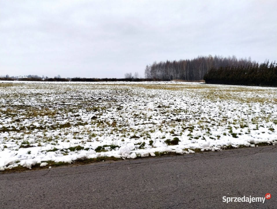 Do sprzedaży działka 1164m2 Wola Niemiecka