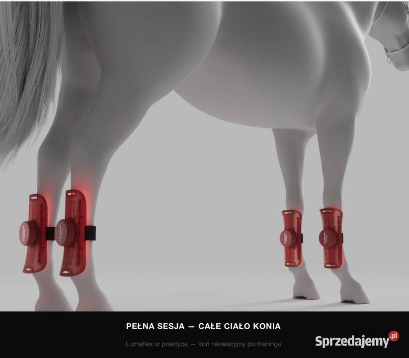 Lumaflex Essential DUO Horse Human Zestaw 3 Michałów