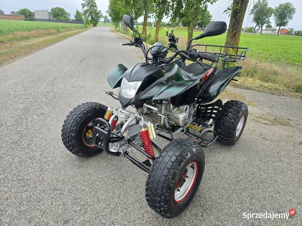 Quad Bashan Bs250S Ciecz Koła 10 Duża Rama Kruszwica