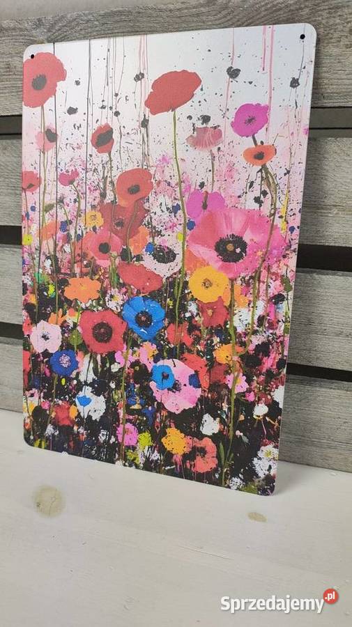 Tabliczka metalowa Obrazki i obrazy Łódź