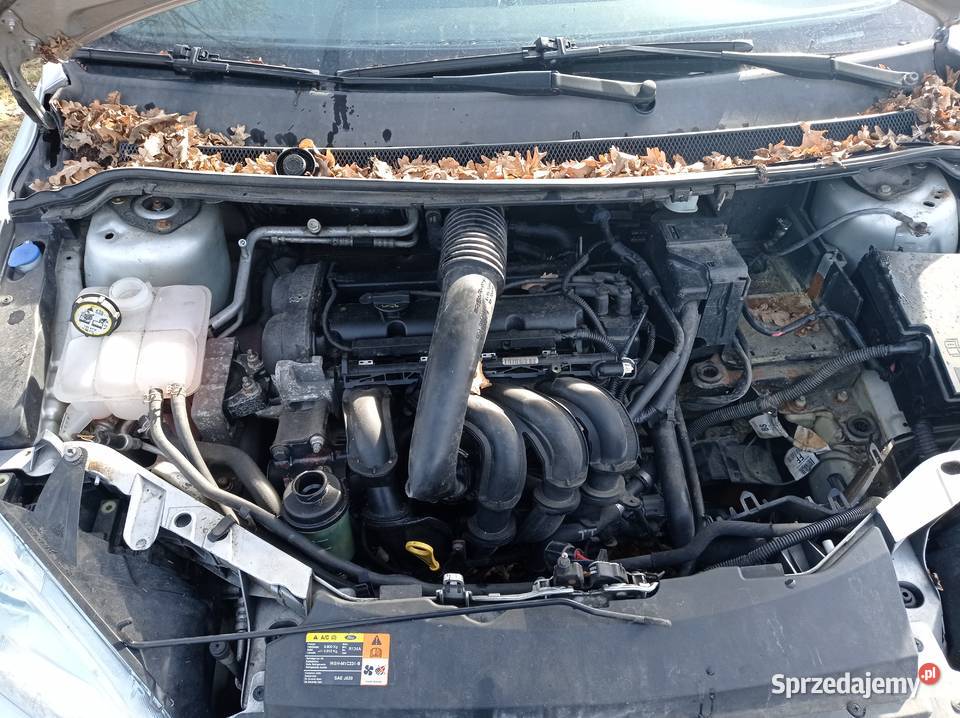 Ford Focus 16 74 kW 2006 r dawca części Szklarka Myślniewska sprzedam