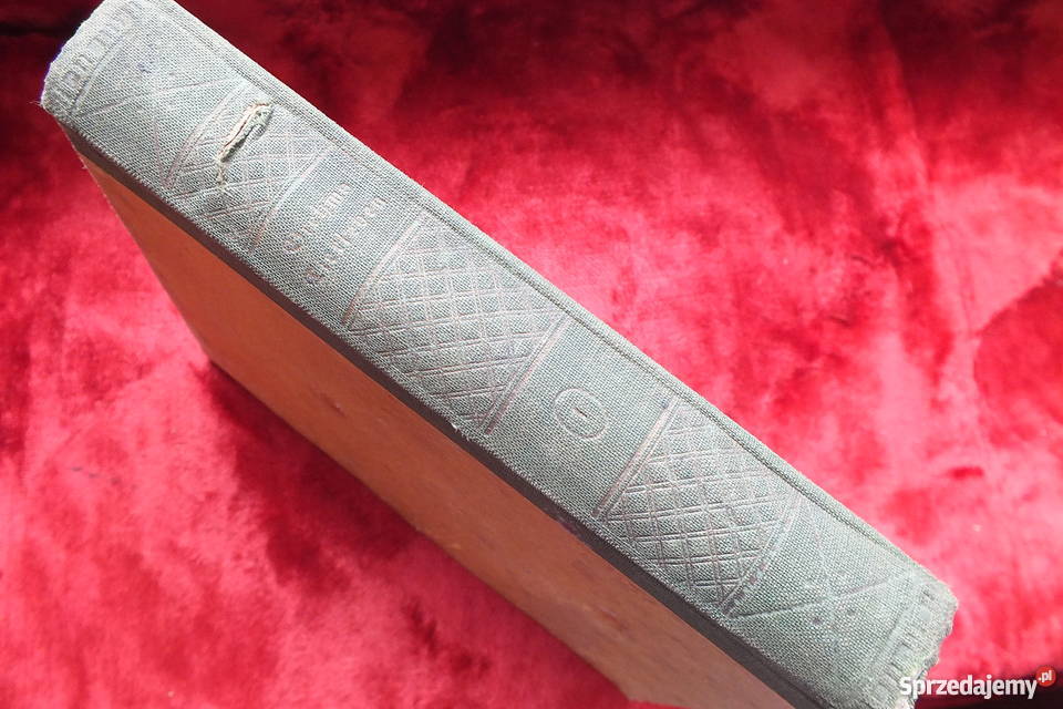 Stara niemiecka książka powieść z 1926 roku Żary