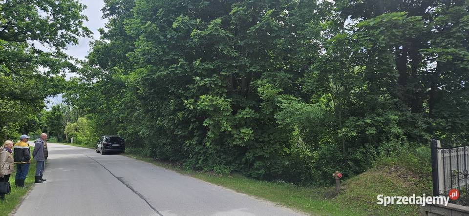 Działka zalesiona 14ha z dostępem do rzeki rolna Bryzgów sprzedam