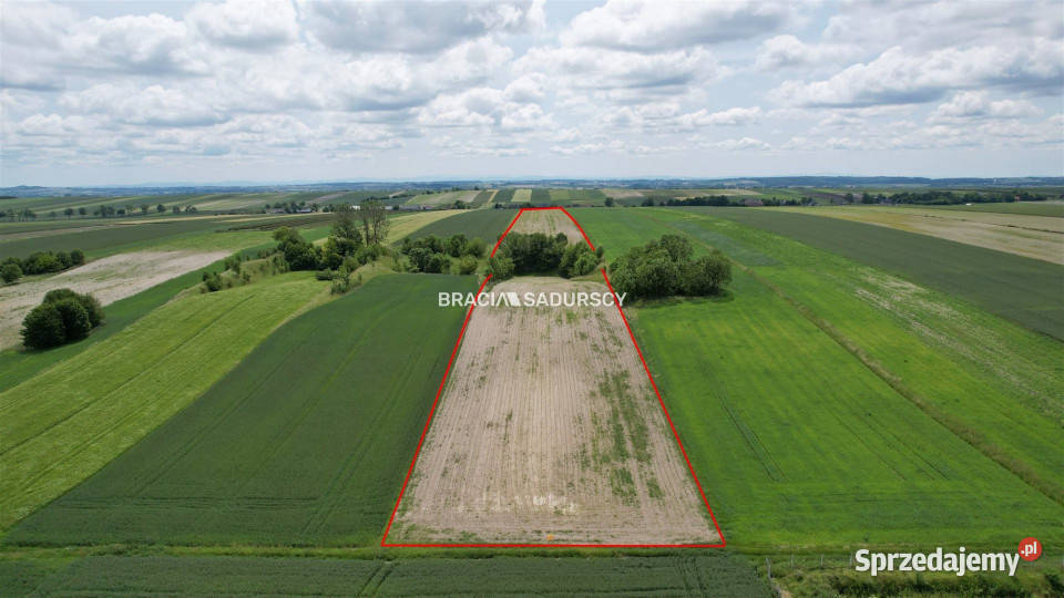 Działka 30500m2 PrandocinIły Prandocin-Iły