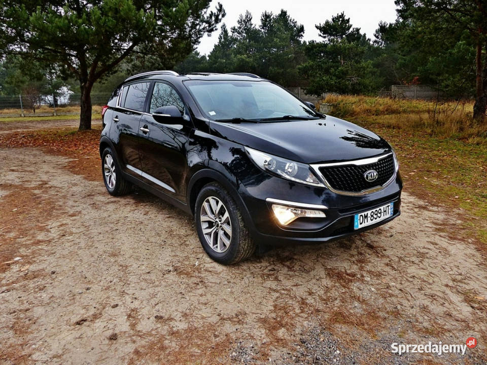 Kia Sportage 17 Piła