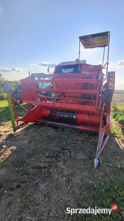 Kombajn Massey Ferguson 240 Tomaszów Lubelski sprzedam