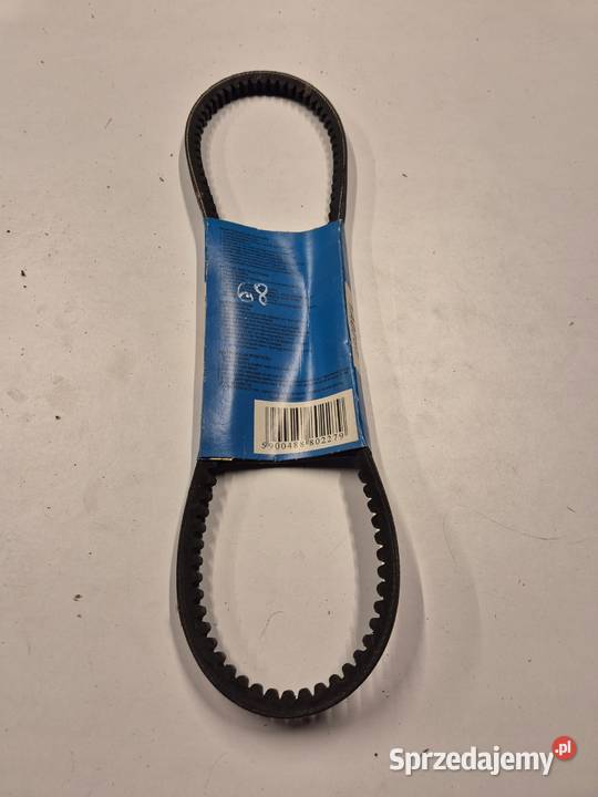 PASEK KLINOWY Alfa Romeo Audi Daihatsu Ford Chełm