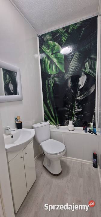 Lokal do wynajęcia 25m2 Wrocław Stare miasto Lokale użytkowe dolnośląskie