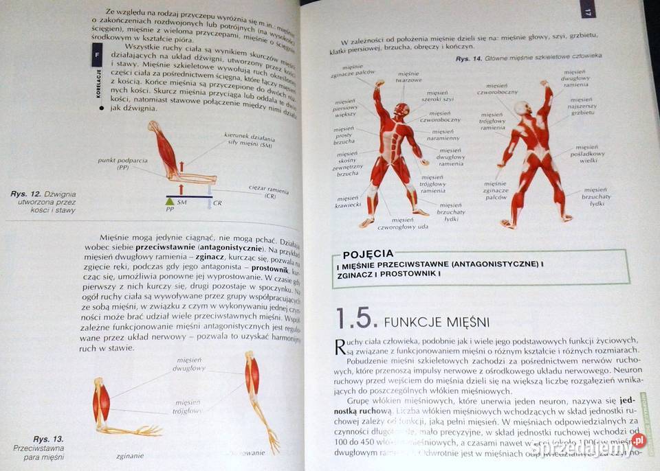 Biologia 2 A Kornaś M Kłyś LŚliwa R Konieczny Chełm