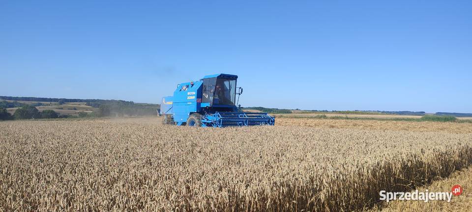 Bizon Rekord ZO585 Proszowice