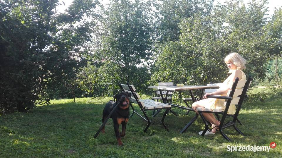 Meble ogrodowe duży mocny 8 osób super stara