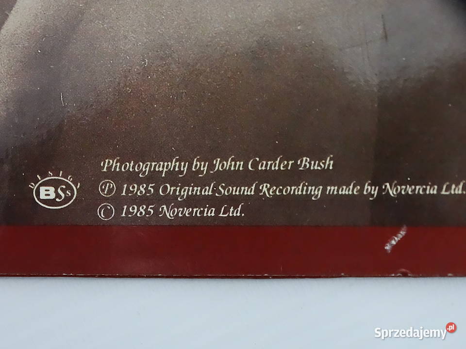 Kate Bush Running Up That Hill MaxiSingle 12 45 Biłgoraj sprzedam