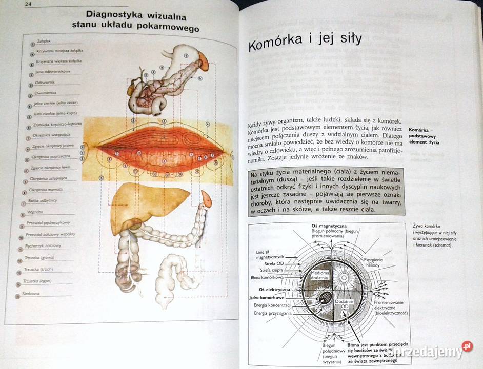Twarz zwierciadłem usposobienia i zdrowia Rok wydania 2002 Chełm