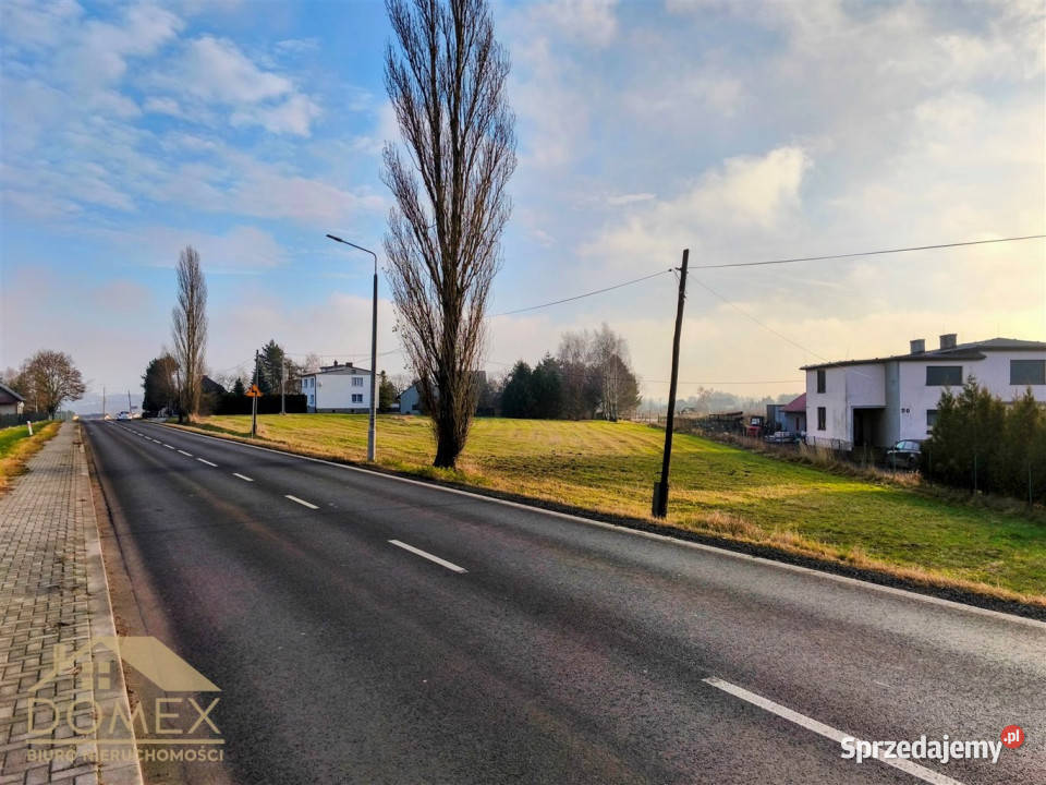 Grunt 2443 metry Gorzyce 81zł/m2