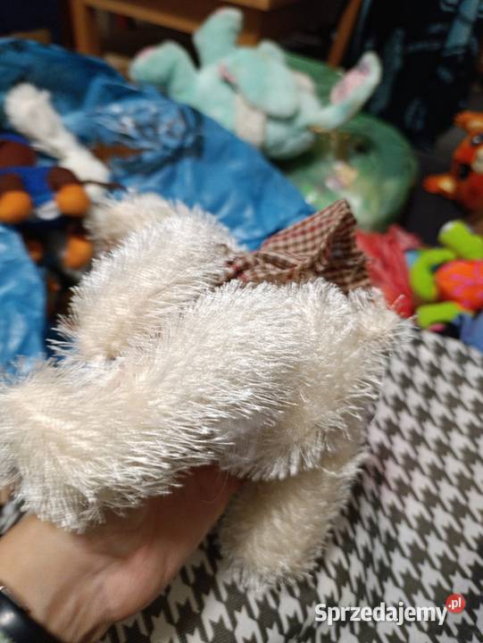 miś pluszowy Ty Classic Sugarcane  Poznań