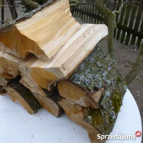 Drewno owocowe do wędzenia grusza Krosino