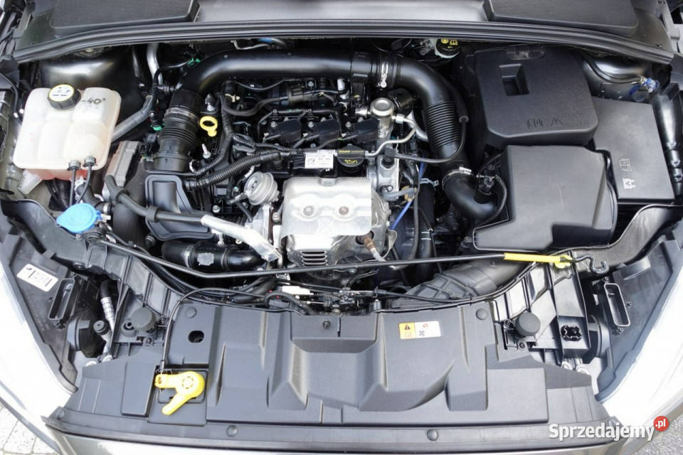 Ford Focus Wzorowy Stan Lift 6 Bieg GWARANCJA światła przeciwmgielne Płońsk sprzedam