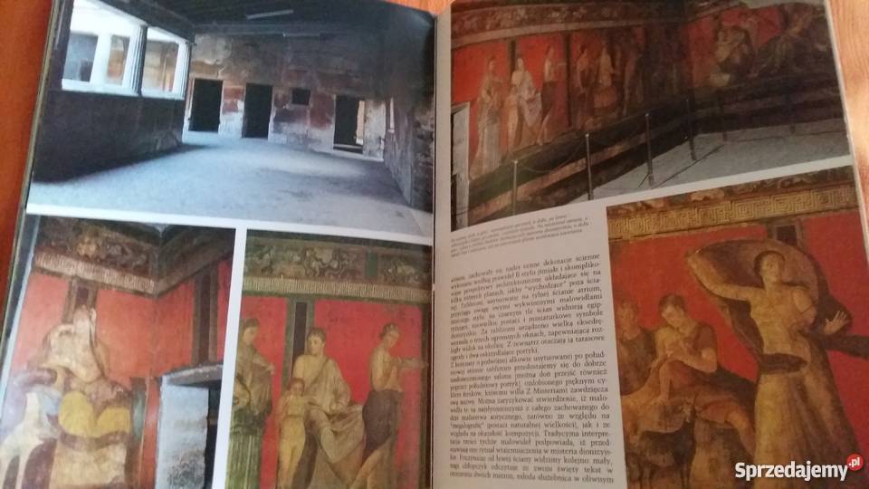 Sztuka i Historia Pompejów edycja polska Łódź