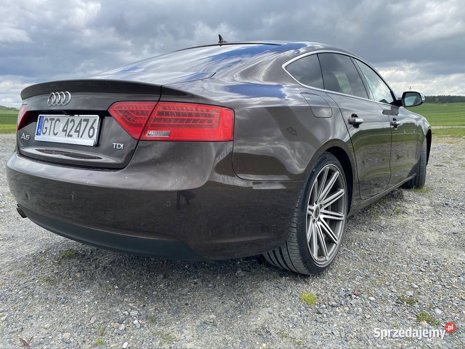 Audi A5 lift webasto Gniew