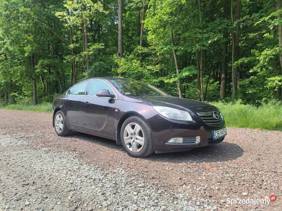 Opel Insignia 20 CDTI Edition 220000km Bydgoszcz
