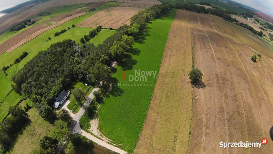 Grunt 4145m2 Kożuchy Wielkie woda Sprzedaż