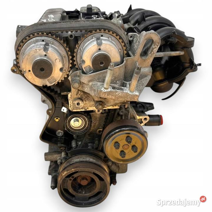 SILNIK HXDA Ford Focus II MK2 C C 16 16V Ti HXDB Chełm