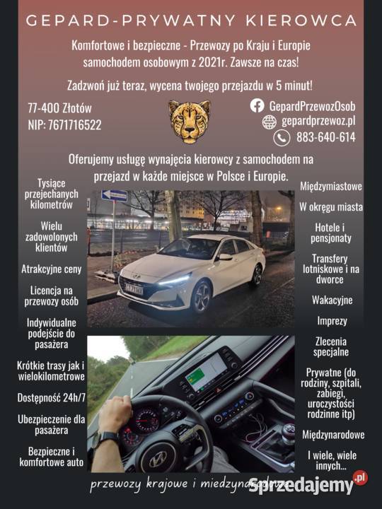 Wynajem Samochodu z kierowcą Prywatne przewozy kujawsko-pomorskie Bydgoszcz