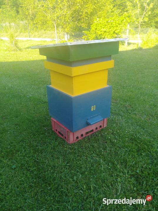 Sprzedam ule wielkopolskie Dynów