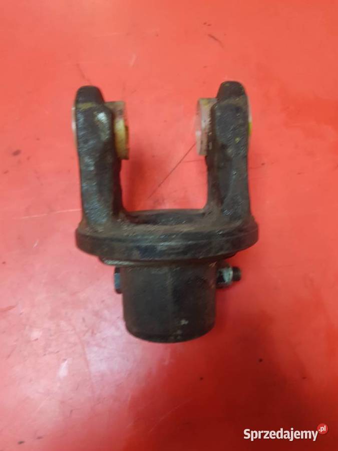 Widłak zewnętrzny 54131