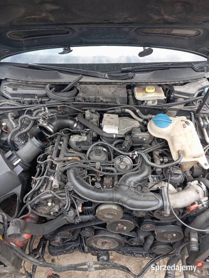 Audi A6 C6 lz9y drzwi przód tył dach ćwiartka Stoczek Łukowski