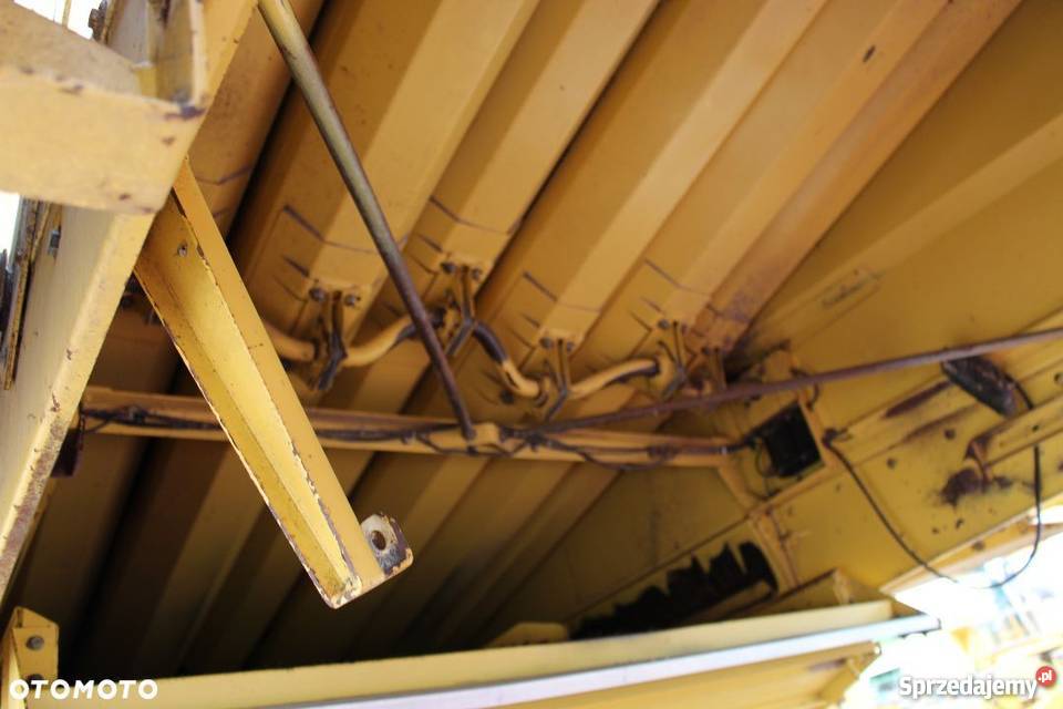 Holland TX36 tx34 Sokoły sprzedam