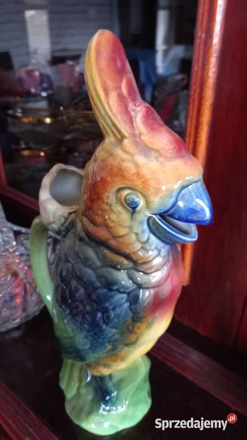 Dzbanekkonefka Papuga