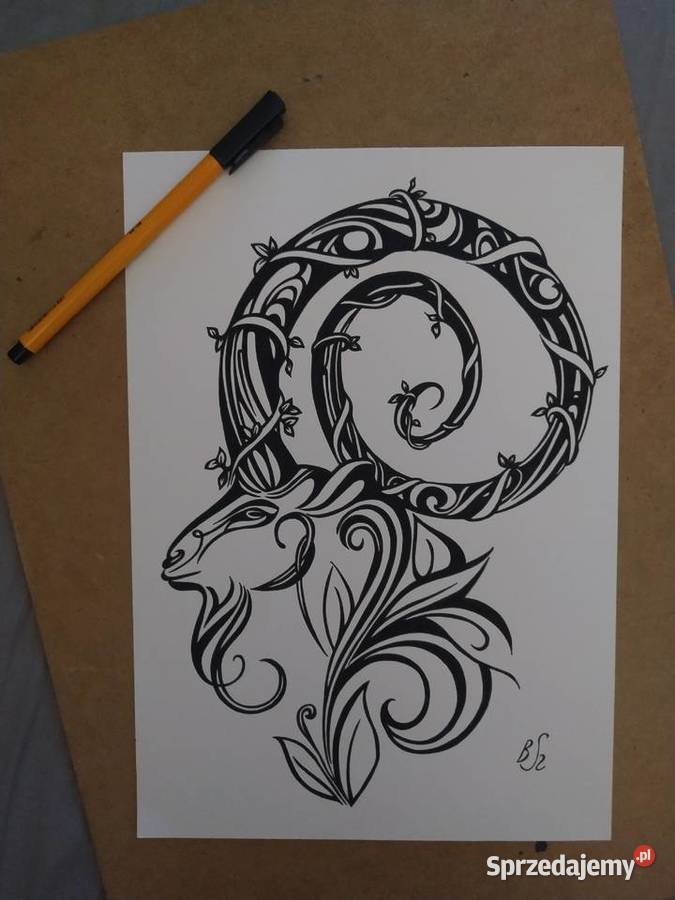 Rysunek koziorożec cienkopis A4 250 gm2 Warszawa