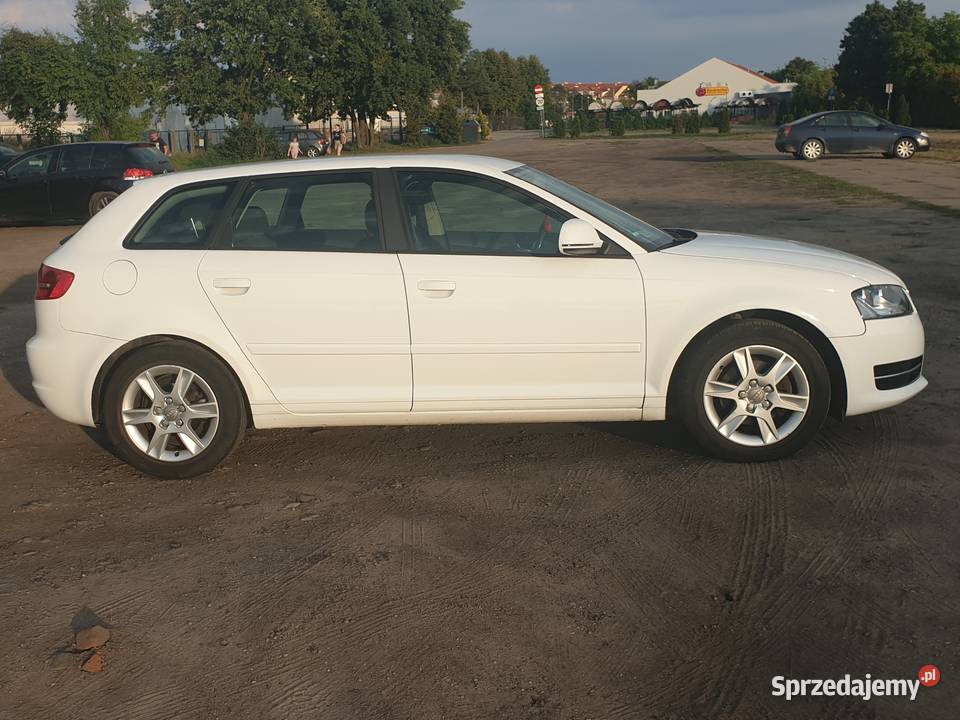 Audi A3 II 8P 14T 2009 144 SPORTBACK MP3 Bydgoszcz sprzedam