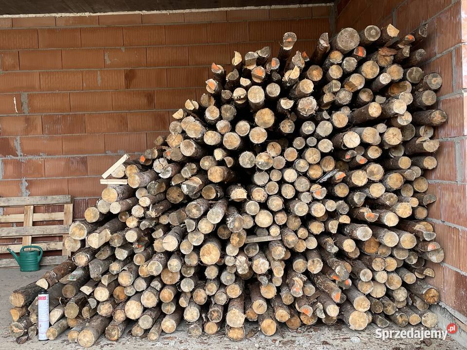 Sprzedam stemple budowlane drewniane małopolskie