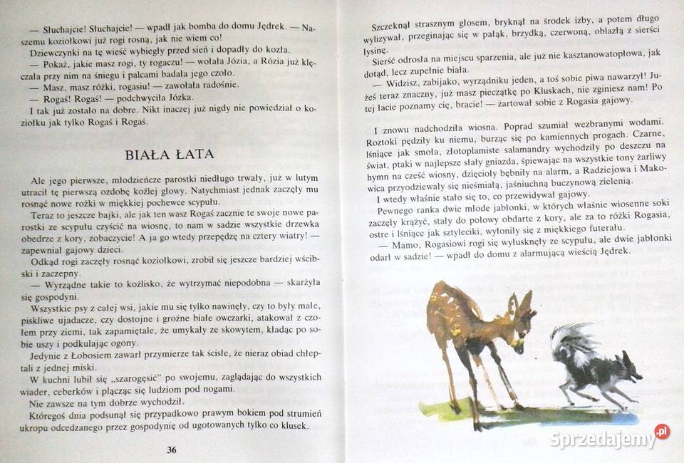 Rogaś z Doliny Roztoki Maria Kownacka Rok wydania 1998 sprzedam