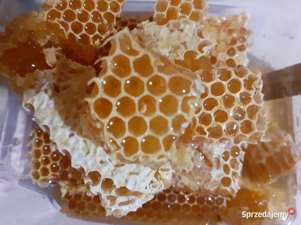 PROPOLIS Kit pszczeli świeżyj Ekologicznyj Miody i produkty pszczele Warszawa