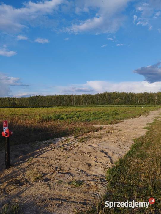 Działki budowlane dolnośląskie Ligota Mała sprzedam