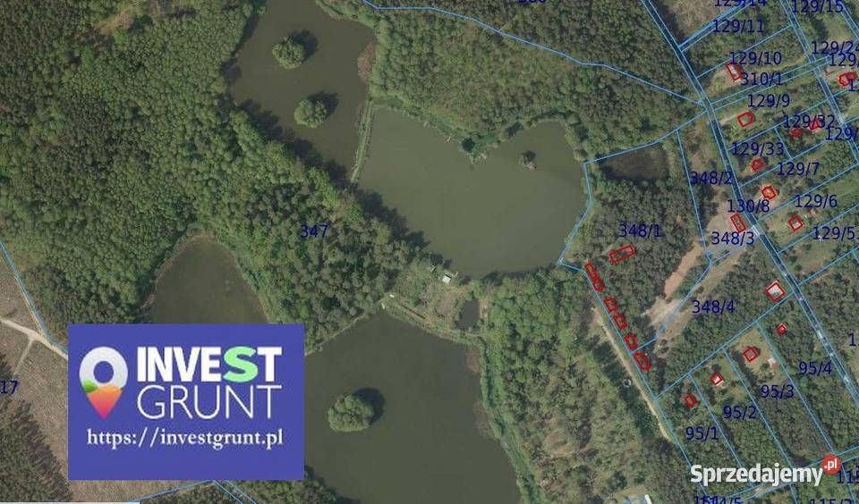 1117 ha przetarg na dzierżawę stawów rybnych Drogoszowice