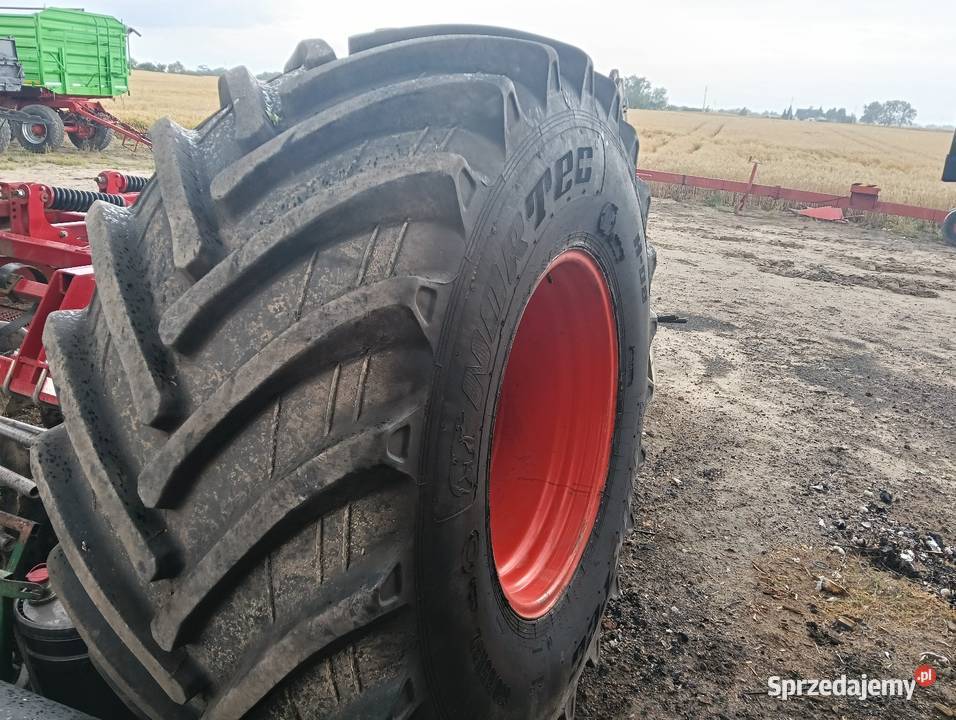 Koło kompletne 8006532