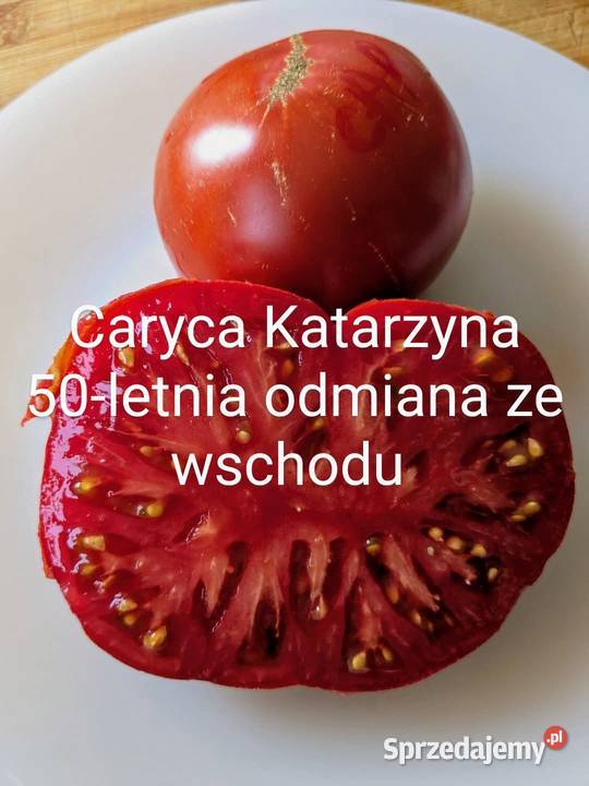 Oxheart Tigirella tygrys paskowa i stara odmiana Kraków