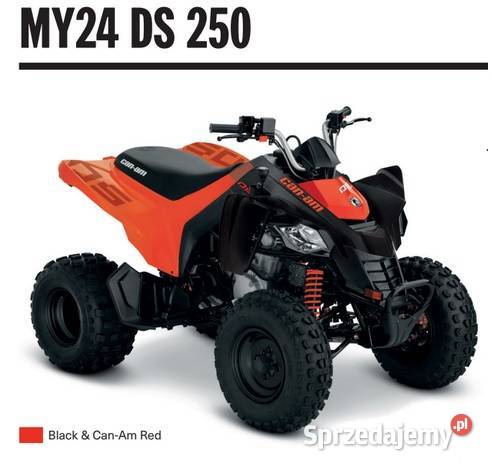 Quad CanAm DS 250 Black CanAm Red 3JPB Can-Am