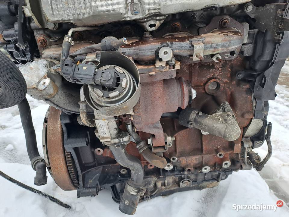 Citroen Peugeot 20 Blue HDi 150 silnik kompletny