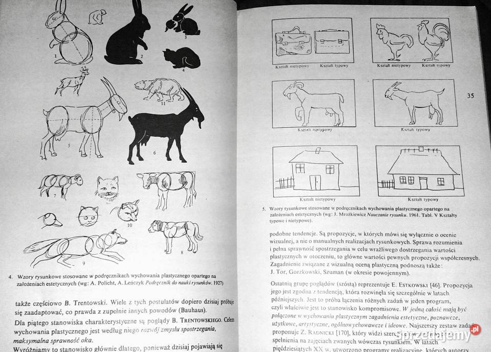 Współczesna koncepcja wychowania plastycznego Chełm sprzedam