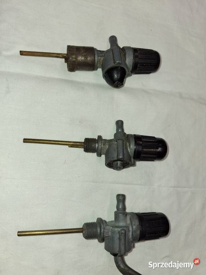 Kranik Junak Brzeg Dolny