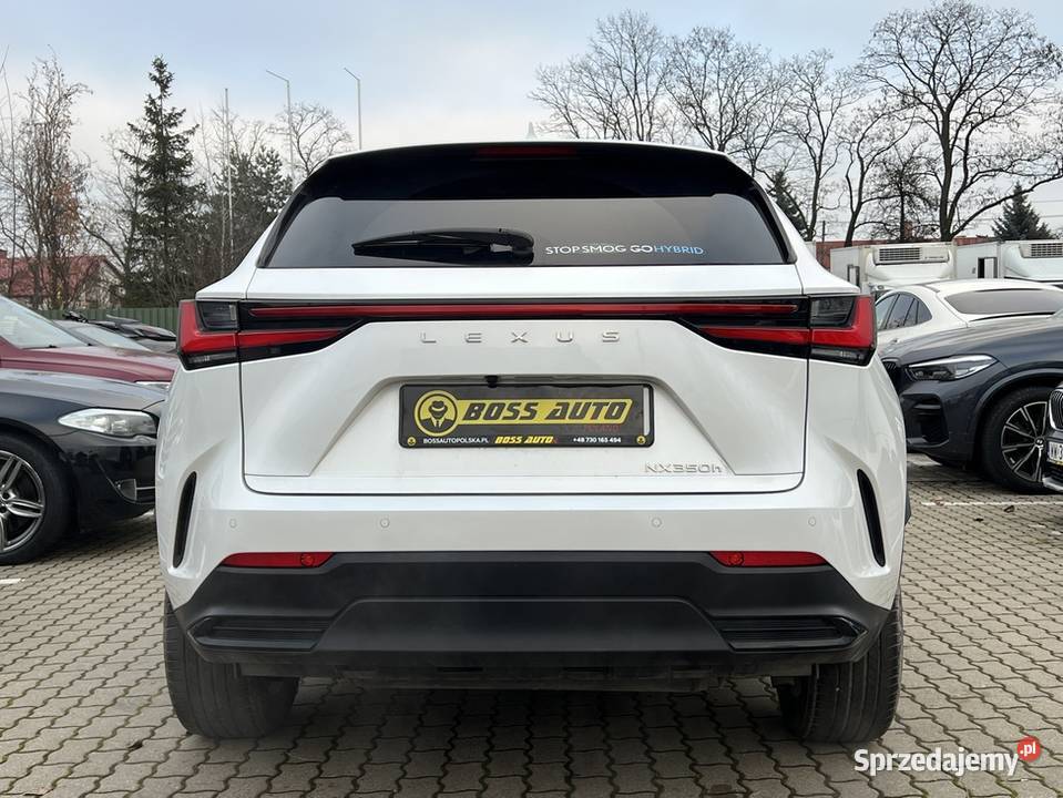 Lexus NX 300 2022 centralny zamek