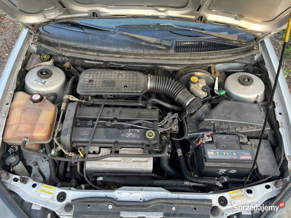 Ford cougar szuka nowej przygody Dawidy sprzedam