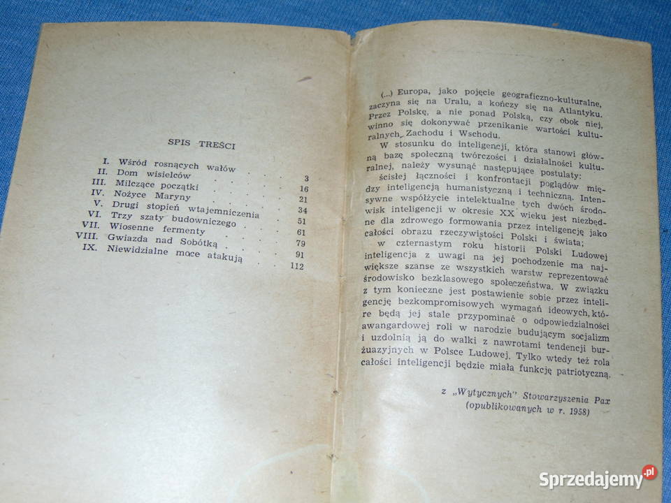 Uczeń pirotechnika Kazimierz Kłoś unikalna Proza i poezja Lublin sprzedam