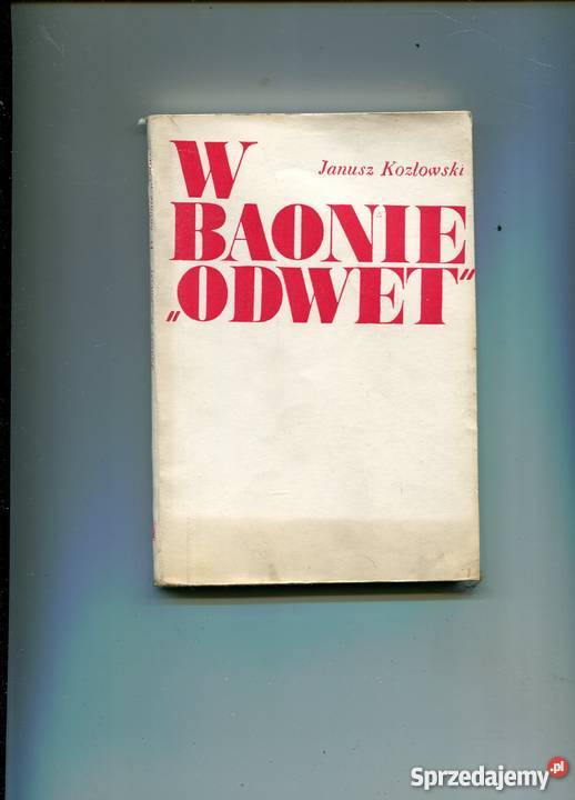 W baonie Odwet dziennik powstańca Janusz Szczecin