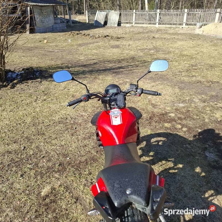 Malaguti dragon łańcuch